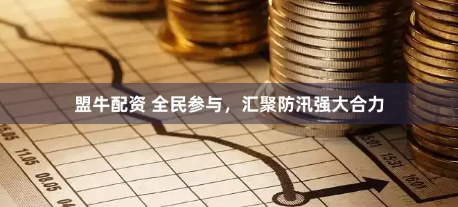 盟牛配资 全民参与，汇聚防汛强大合力