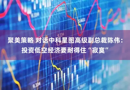 聚美策略 对话中科星图高级副总裁陈伟：投资低空经济要耐得住“寂寞”